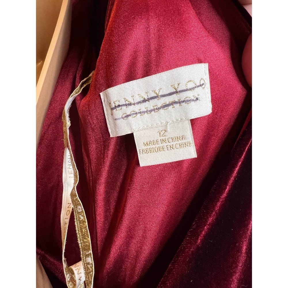 BHLDN Jenny Yoo Ellis Velvet Open Back Dress - Picture 11 of 13